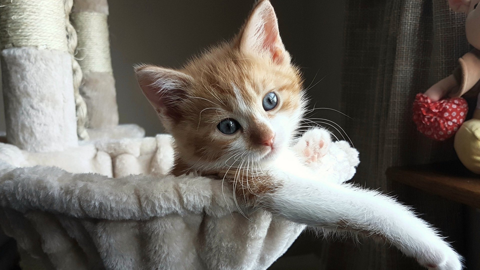 若日尼奥生涯之夜闪耀巴黎,艺术足球轻取英格兰钢铁之躯