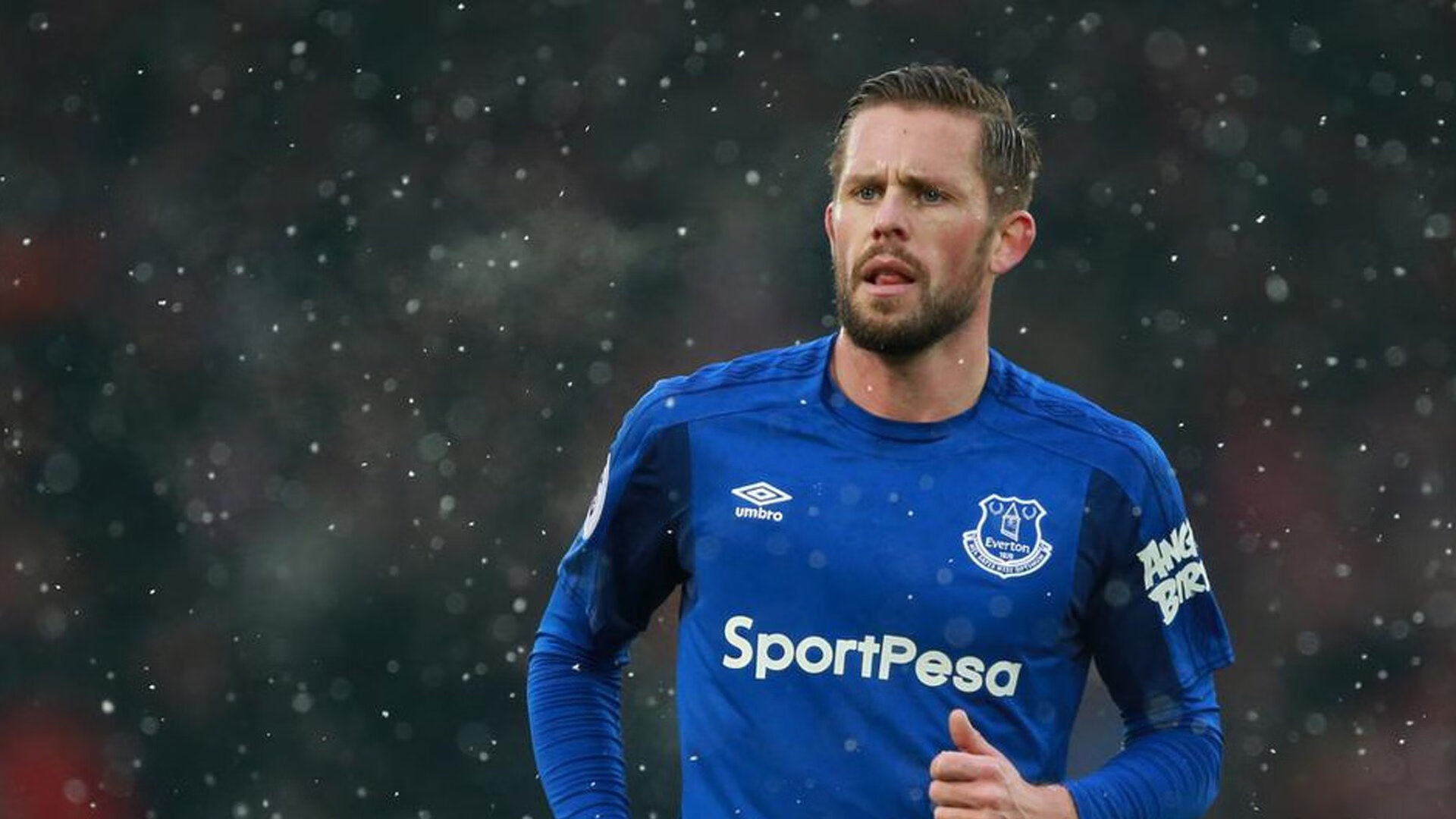 当利爪遇见蜂刺,武切维奇在风暴眼中雕刻稳定